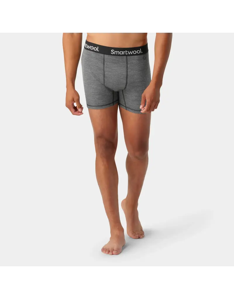 Smartwool SW Men's Active Boxer Brief