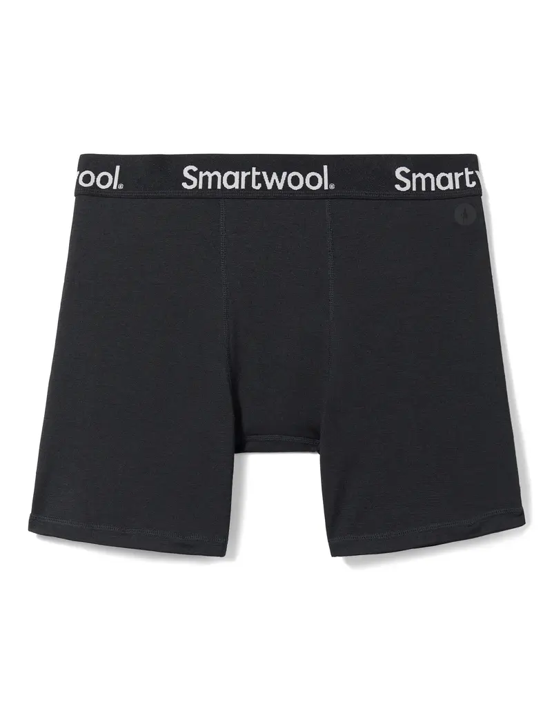 Smartwool SW Men's Active Boxer Brief