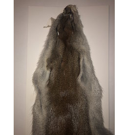 Wapsi Fly Pine Squirrel Full Skin Uncut