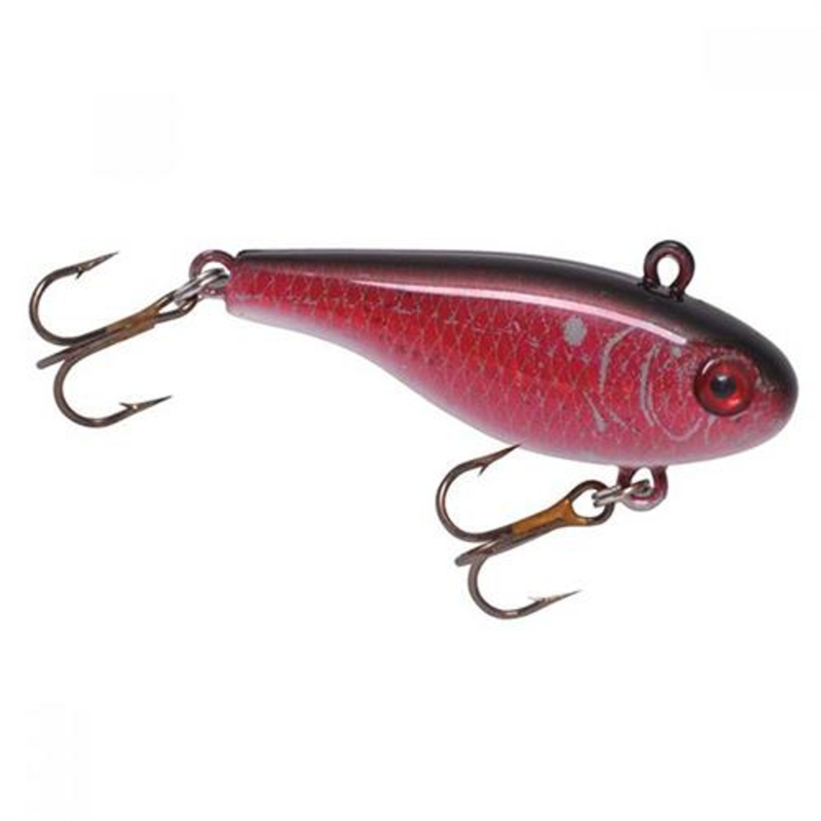 Lindy Thill Nite Brite Float Red Light 4in W/Batte - Freshwater Fishing  Baits & Lures at  : 1030508061