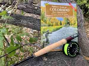Grayling Grayling 8'9" Fly Rod Combo With HVCE Reel, Line, and Case