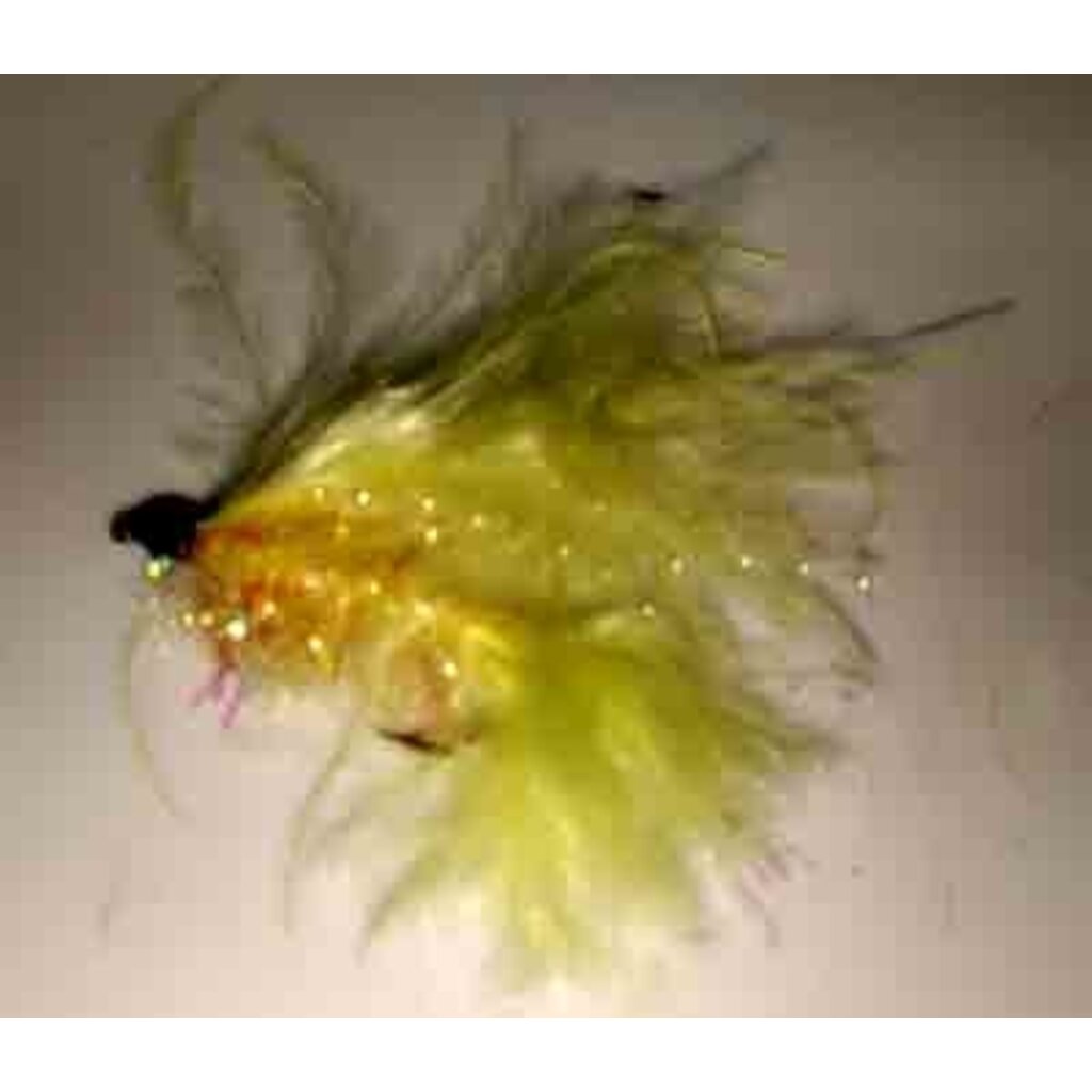 Cats Whiskers Yellow  Size 8