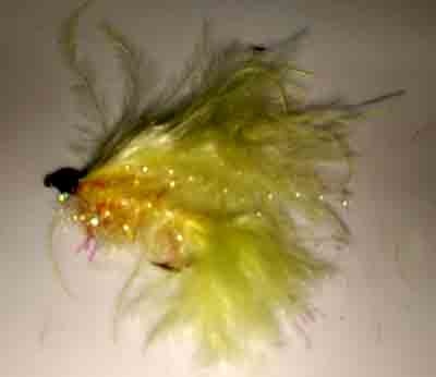 Cats Whiskers Yellow  Size 8
