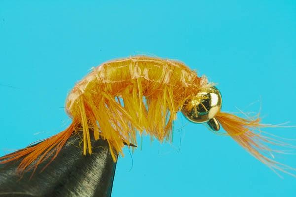 Scuds and Sowbugs Double Bead Crystal Scud Fly Fishing Flies for Fishermen  Premium Flies and Fishing Lures 