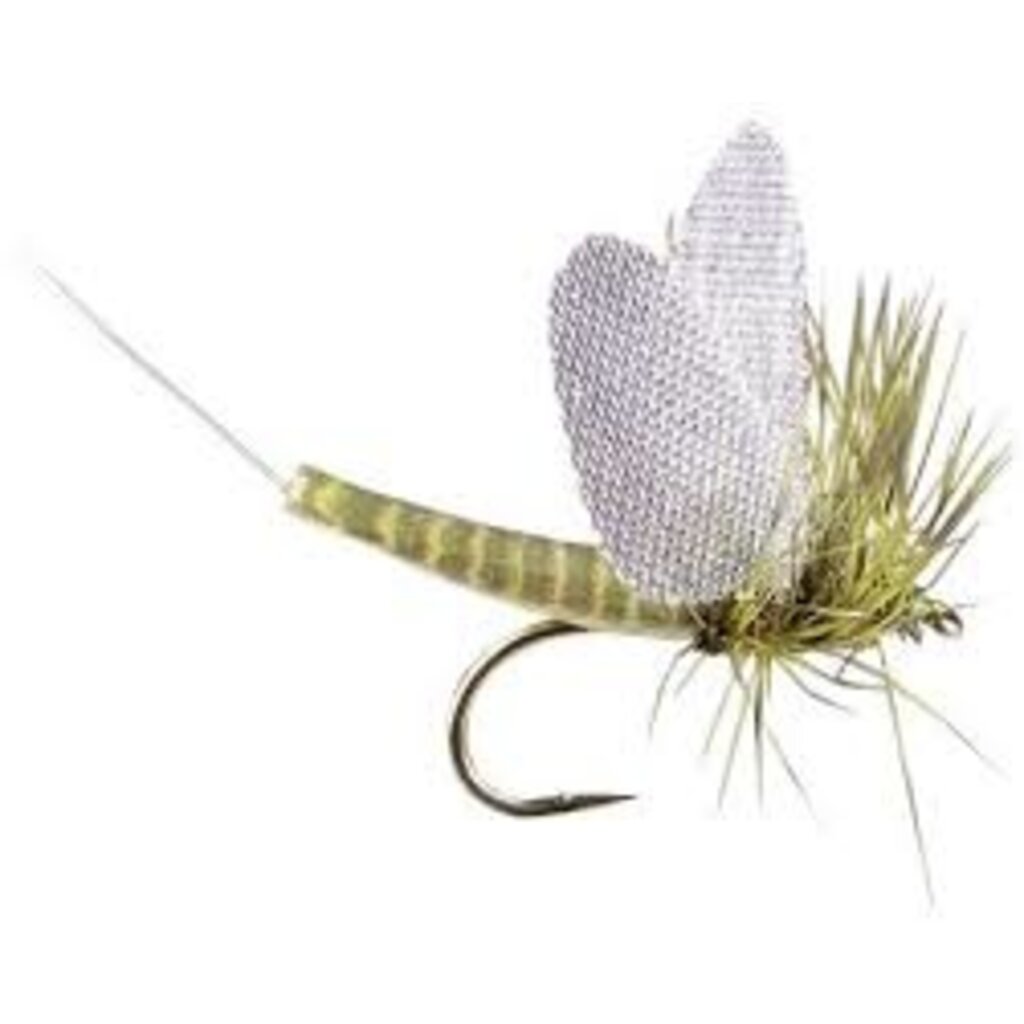 thumbnail image 2 of HipCat Western Green Drake Dry Flies - 12pc - Sizes 8 10 12 14 - Trout Bass Mayfly 2 of 2
