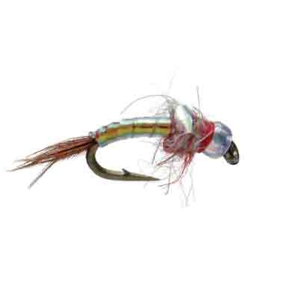 Umpqua Rainbow Warrior Pearl