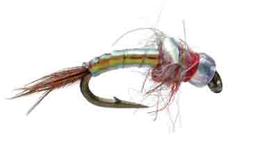 Umpqua Rainbow Warrior Pearl  (d1)