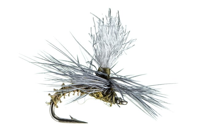 MFC Montana Fly Company Christiaen's GT Adult Bwo Para 16