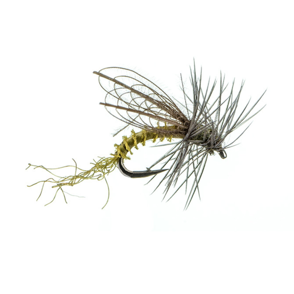 MFC Montana Fly Company CDC Winged Emerger Para