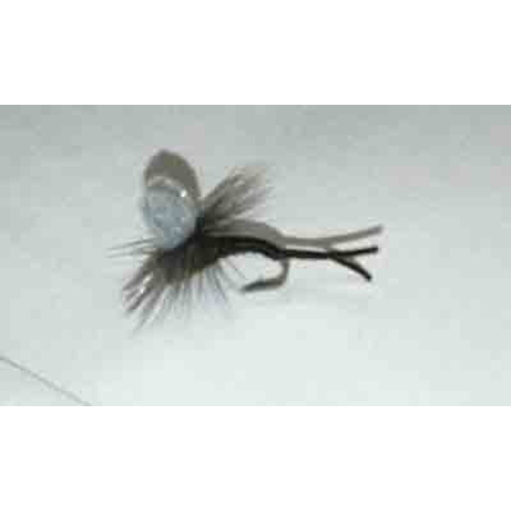 MFC Montana Fly Company Trina's Ethawing Emerger BWO