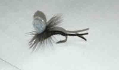 MFC Montana Fly Company Trina's Ethawing Emerger BWO  (f2)