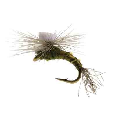 Solitude Fly Company Sprout Baetis