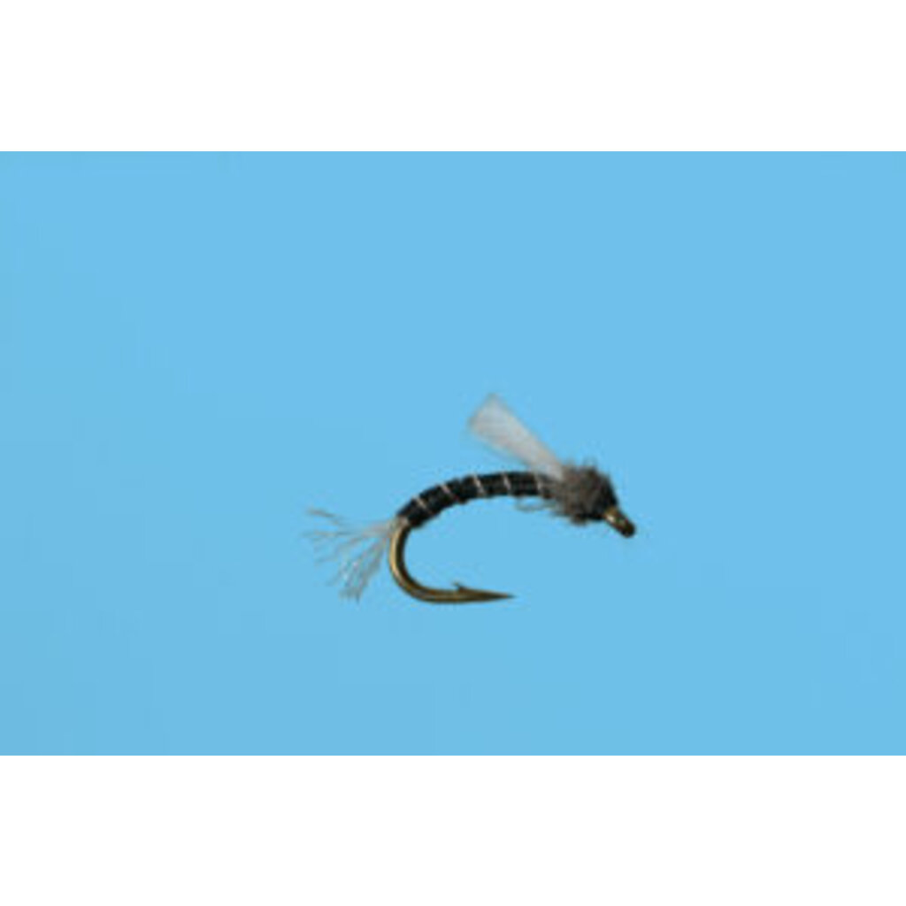 Solitude Fly Company Black Beauty Emerger