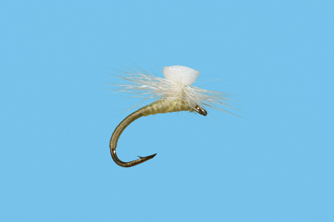 Solitude Fly Company Brook's Sprout Midge  (i4)