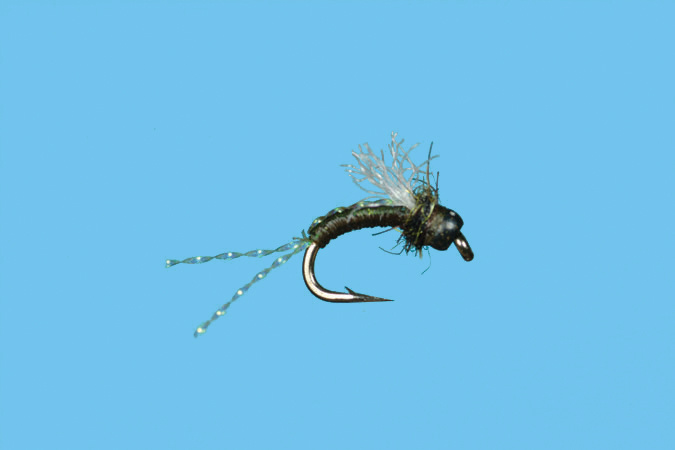 Solitude Fly Company Cheeseman Emerger  (M3)