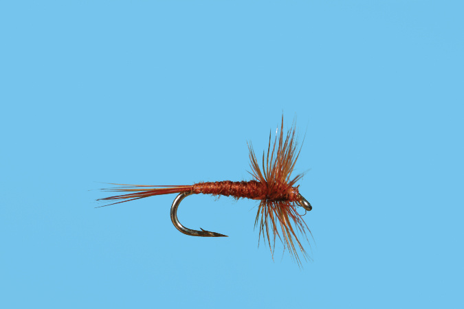 Solitude Fly Company Midge Adult  (J1)