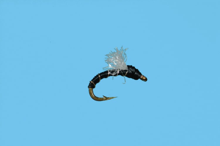 Solitude Fly Company Poly Wing Emerger Black  (J2)