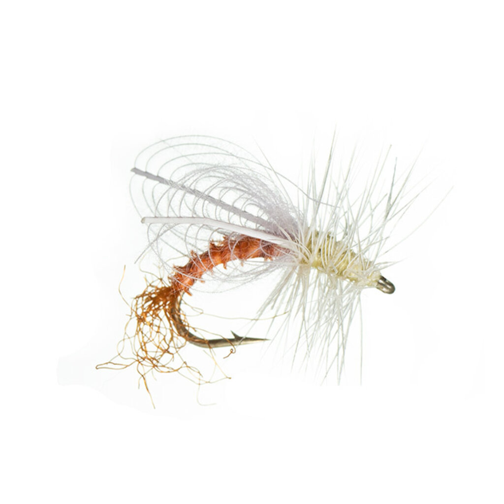 MFC Montana Fly Company CDC Winged Emerger PMD