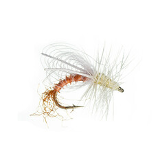 MFC Montana Fly Company CDC Winged Emerger PMD