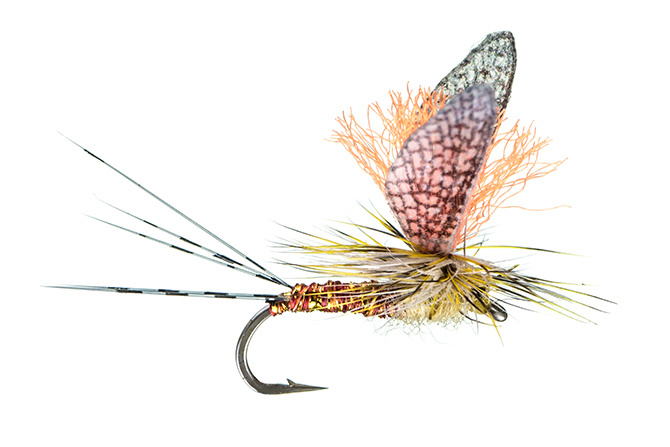 MFC Montana Fly Company Keller's Peppermint PMD   (k3)