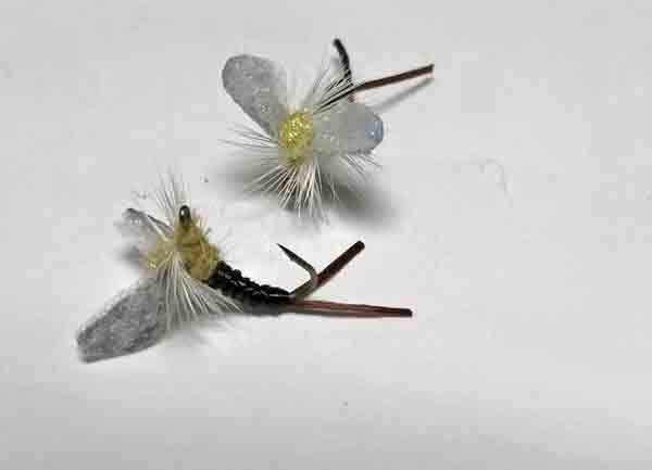 MFC Montana Fly Company Trina's Ethawing Emerger PMD  (k3)