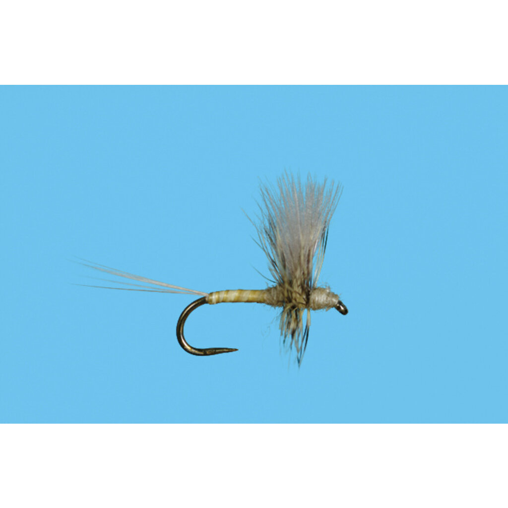 Solitude Fly Company PMD Thorax