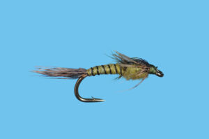 Solitude Fly Company Pandemic May Bwo   (L4)