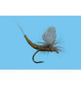 Solitude Fly Company Bwo Extended Body  (L5)