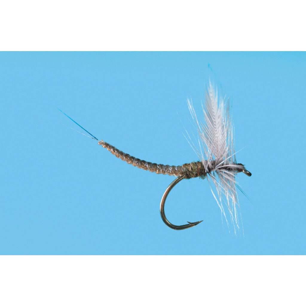Solitude Fly Company BWO Extended Body Dun