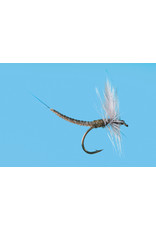 Solitude Fly Company BWO Extended Body Dun