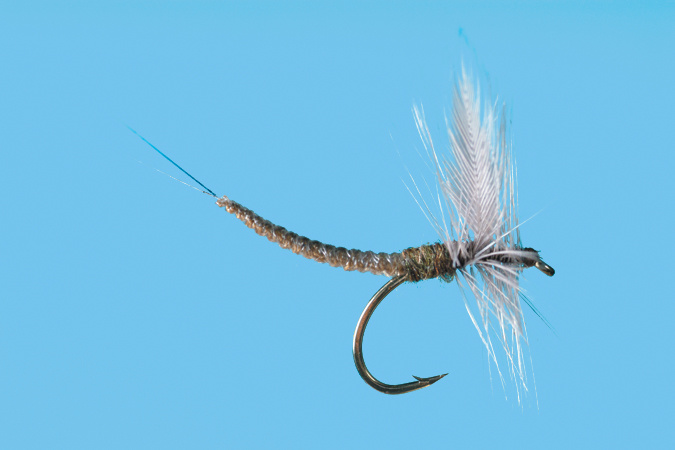 Solitude Fly Company BWO Extended Body Dun