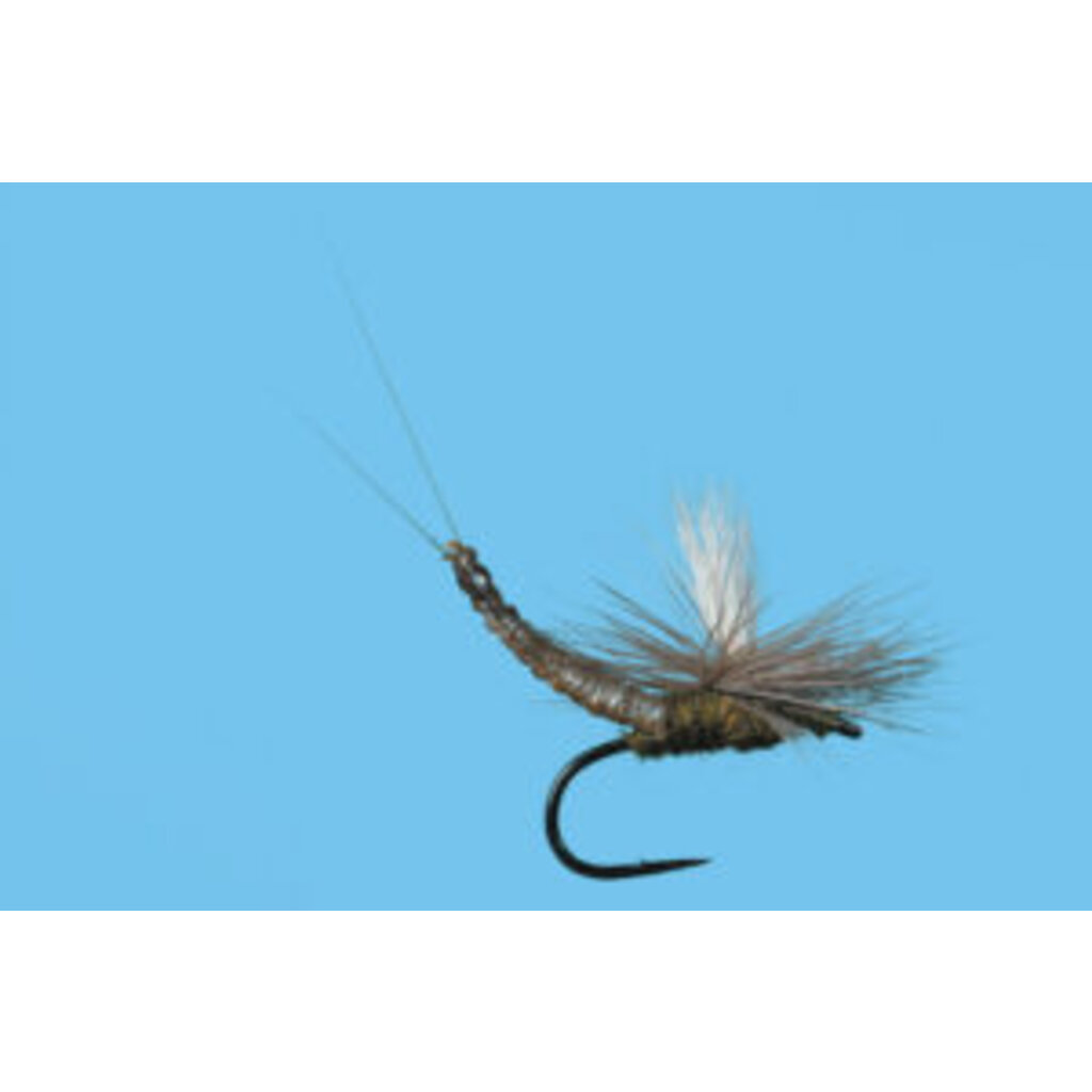 Solitude Fly Company Para Ext Body BWO