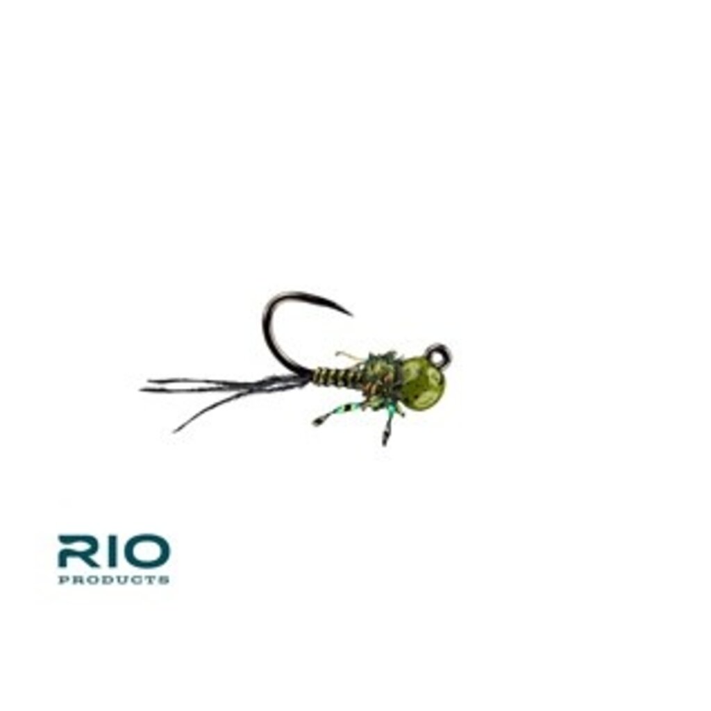 RIO Rio's Tung Tied