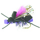 DreamCast Purple Army Ant Hi Viz