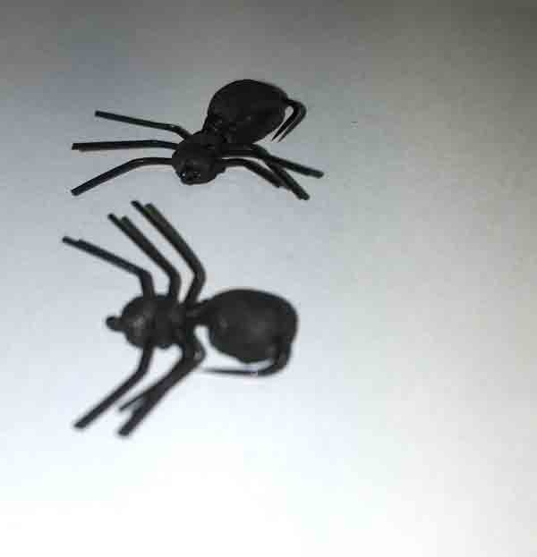 Ants    (r5)