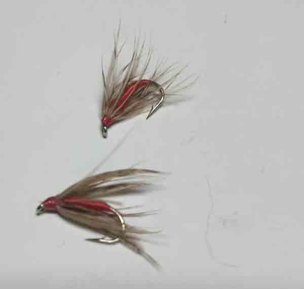 Soft Hackle  (s2) (t1)