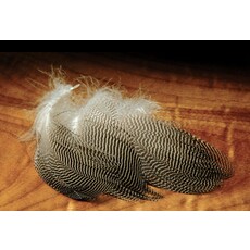 Hareline Hareline Gadwall Feathers