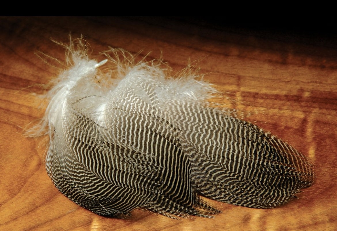Hareline Hareline Gadwall Feathers