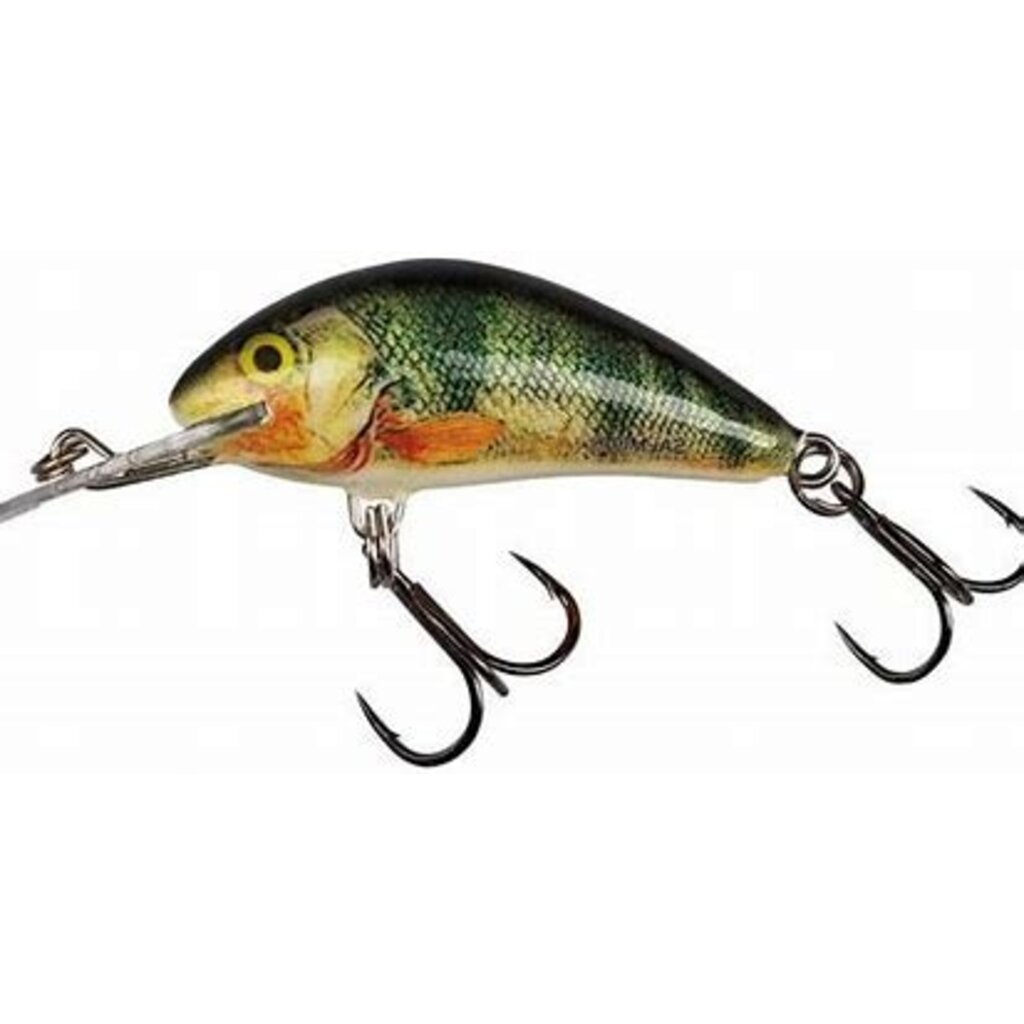 Shop 4 Salmo Fishing Lures new