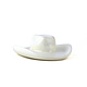 Hycroft Cowboy Hat