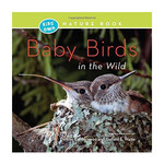 Kids' Own Nature Books: Baby Birds in the Wild