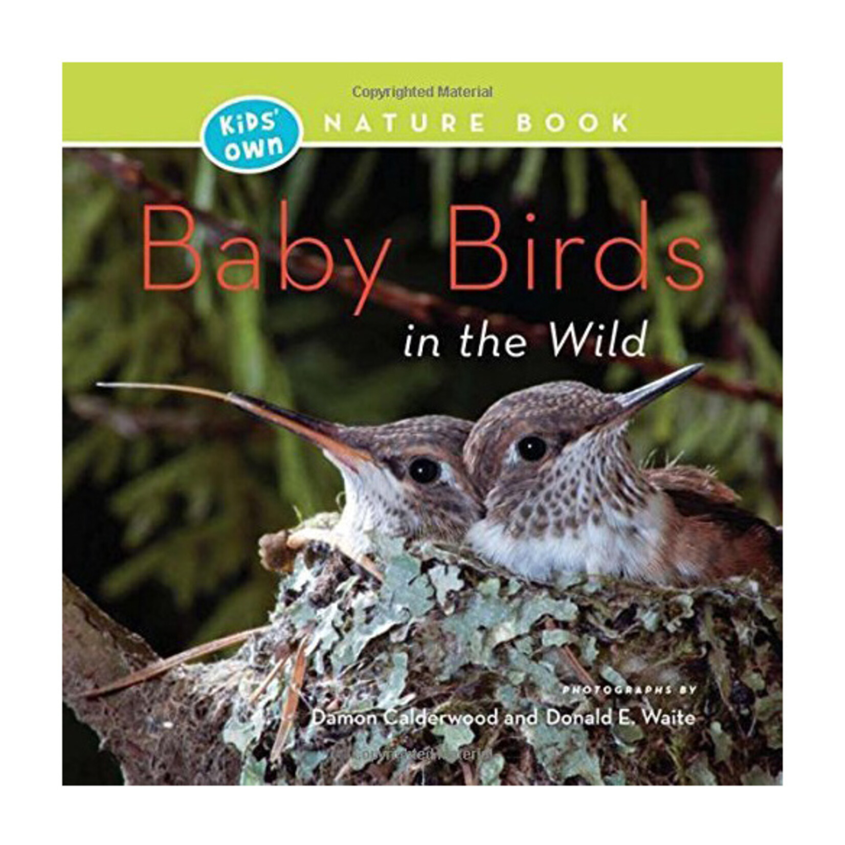 Kids' Own Nature Books: Baby Birds in the Wild