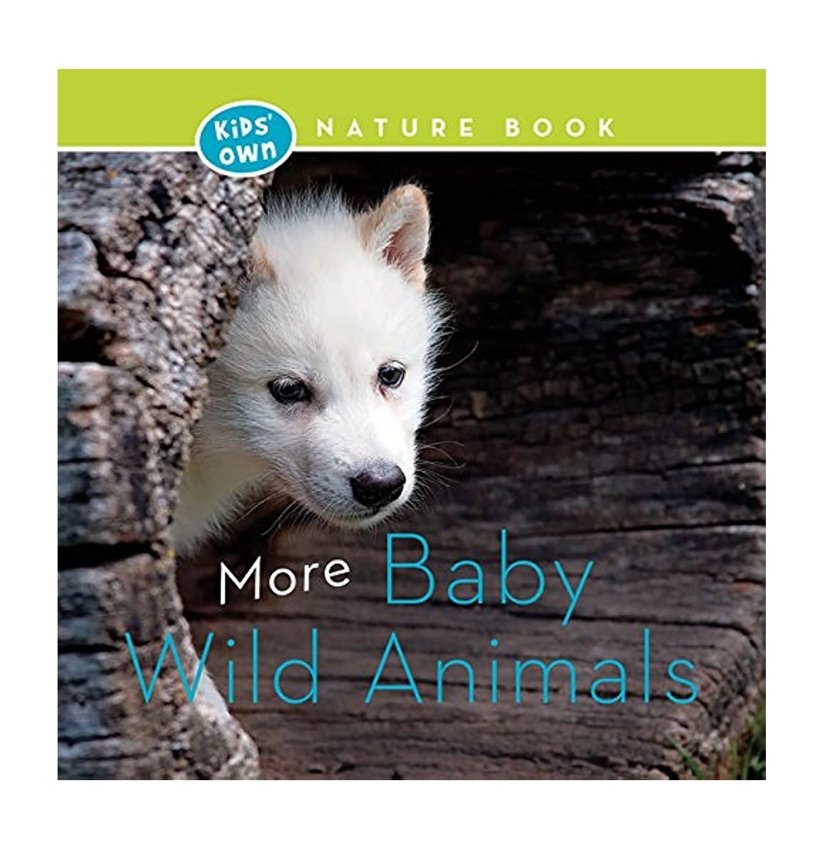 Kids' Own Nature Books: More Baby Wild Animals