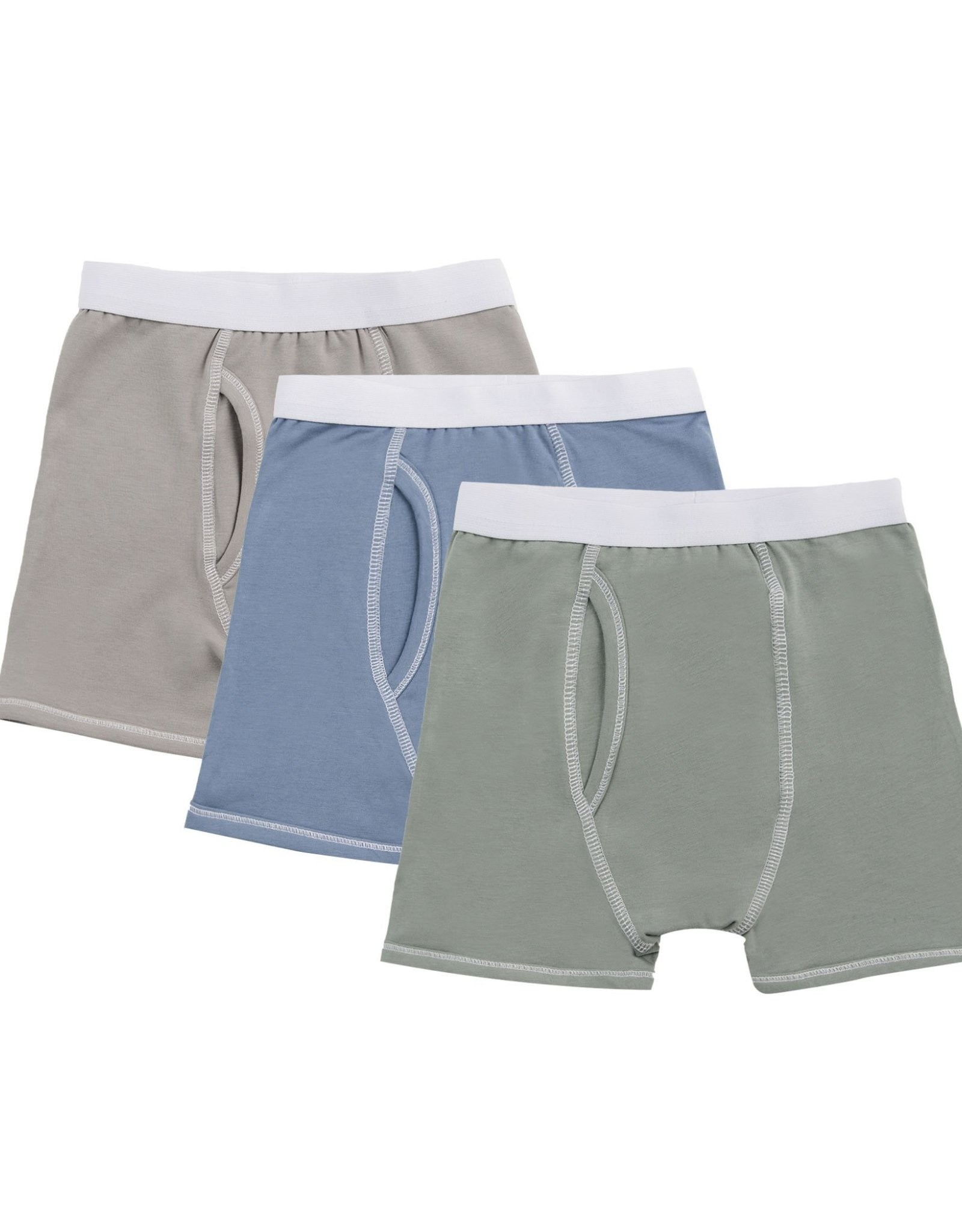 Petit Clair Boys 3pc Boxer Brief