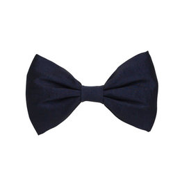 Project 6 NY Kids Perfect Bow Clip/Bowtie