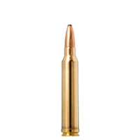 TSA018-NORMA .300 WIN MAG 165GR SPB ORYX BONDED PROFESSIONAL HUNTER 20RDS