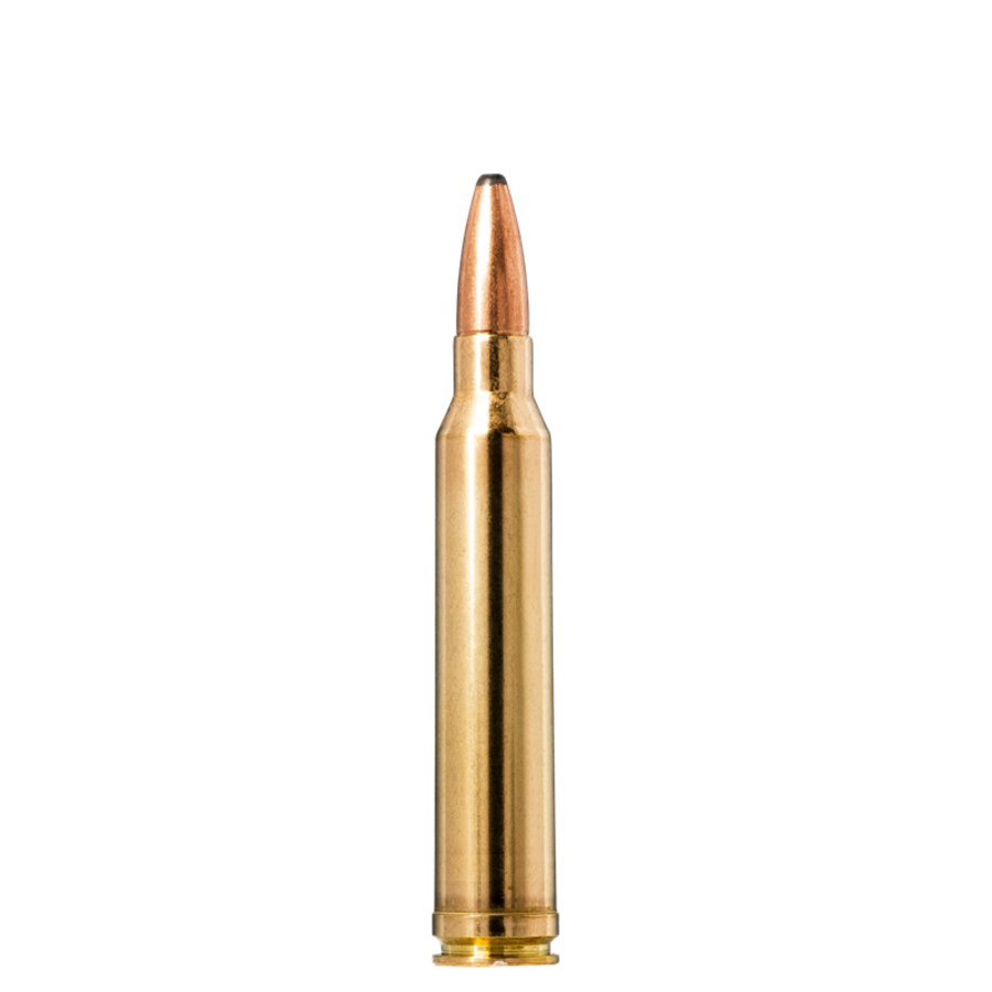 TSA018-NORMA .300 WIN MAG 165GR SPB ORYX BONDED PROFESSIONAL HUNTER 20RDS