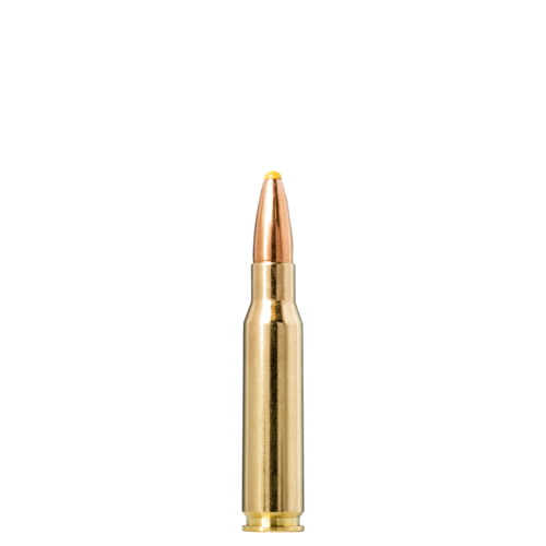 TSA012-NORMA PPDC .308 WIN 180GR PROFESSIONAL HUNTER 20RNDS 