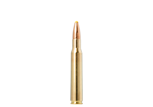 TSA025-NORMA PPDC .30-06SPRG 180GR PROFESSIONAL HUNTER 20RDS 