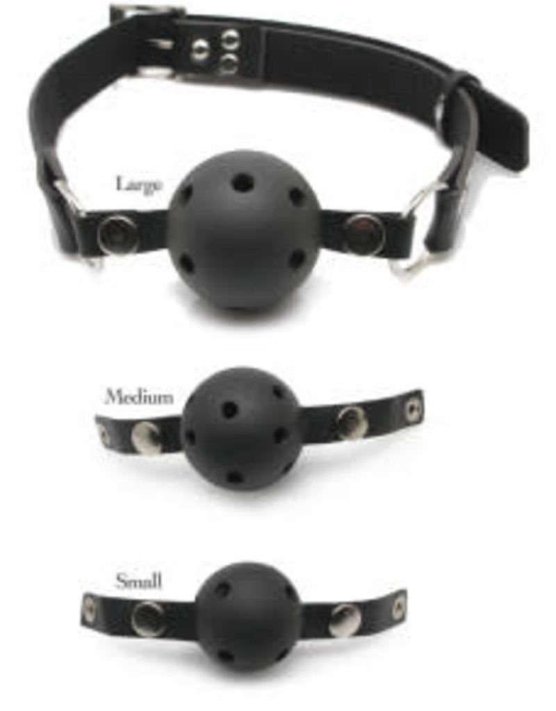 Pipedream Fetish Fantasy Series Ball Gag Training System